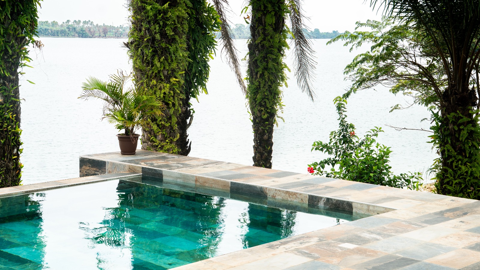 RESIDENCE HAUT STANDING 3 PIECES PISCINE PRIVEE